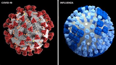 COVID vs. The Flu: Cool Springs Internal Medicine & Pediatrics, PLLC ...