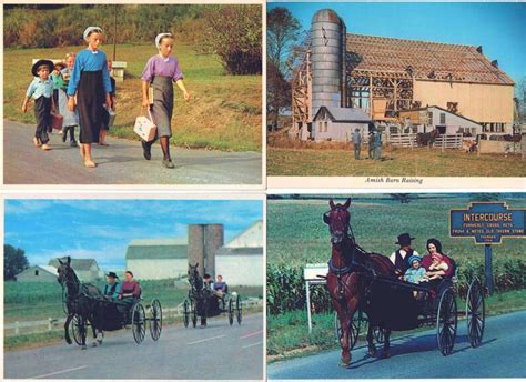 Pennsylvania Amish 8 Unused Postcards Good Shape Includes | Etsy