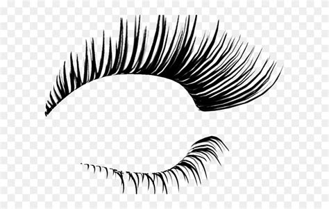 Download Long Clipart Eye Lashes - Eyelashes Transparent - Png Download (#5467322) - PinClipart