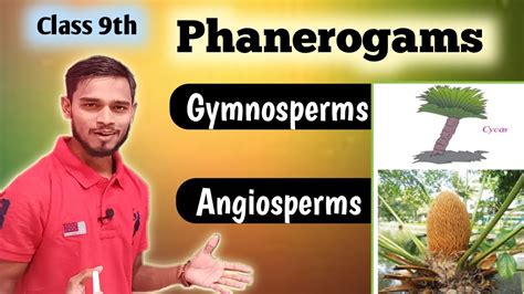 Classification of Plants-Phanerogams Ep-03|Class 9th - YouTube