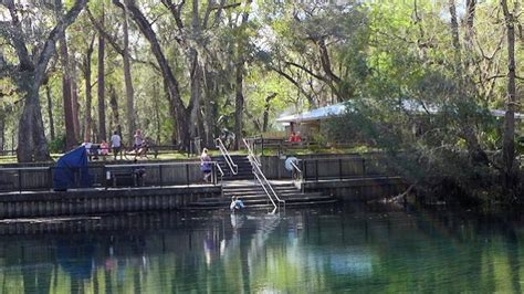 Campground Review: Manatee Springs State Park | Scenic Pathways