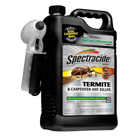 Best Termite Sprays-Orange Oil (DIY), Boric Acid & Spectracide Reviews ...