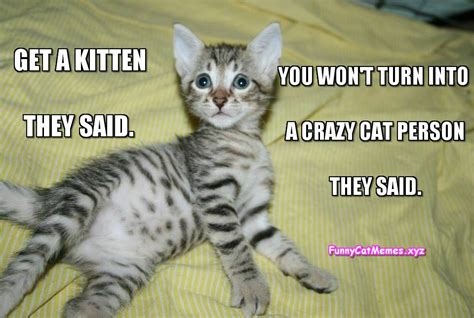 Get A Kitten, They Said! - Funny Kitten MEME