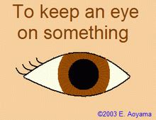 Keep an eye on someone/something