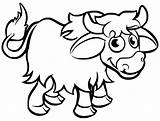 Yak Coloring Sheet sketch template