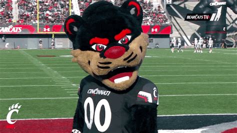 Cincinnati Bearcats Mascot GIF by University of Cincinnati Athletics - Find & Share on GIPHY