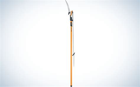 Best Pole Saws of 2024, Tested and Reviewed