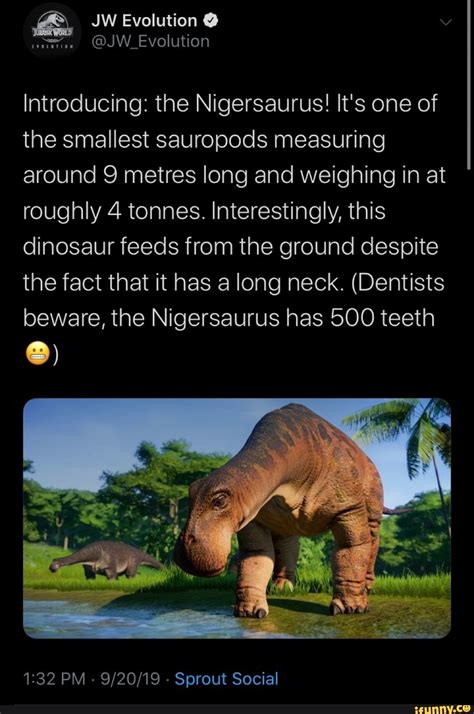 Don't Google What Dinosaur Has 500 Teeth Meme - Latest News Update