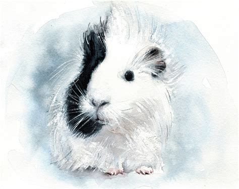 Guinea Pig Custom Portrait Watercolor Pet Memorial Gift - Etsy