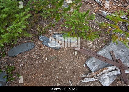 Old artifacts. Chilkoot Trail. Klondike Gold Rush Historic National ...