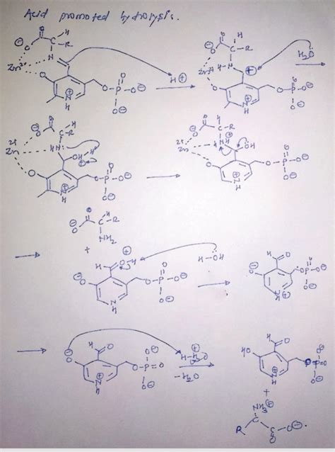 [Solved] 1.) Draw the structure of ammonium acetate. Why do you think that... | Course Hero