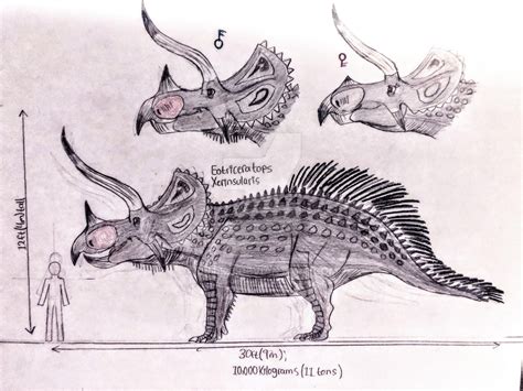 Dino Tales- Eotriceratops Xerinsularis by JJT123 on DeviantArt