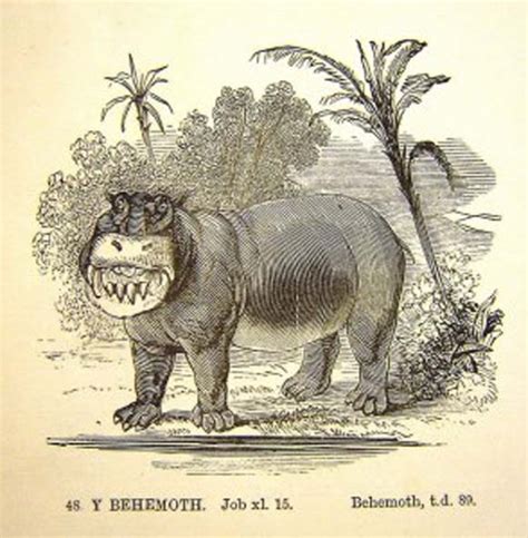 Biblical Beasts: Behemoth - The Dominican Friars in Britain