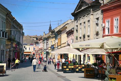 15 Best Things to Do in Novi Sad (Serbia) - The Crazy Tourist