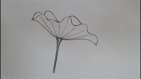 How to draw very easy lotus leaf drawing step by step//Foliage //Vel's Art Classes.... | Leaf ...