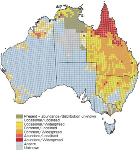 Feral pig distribution in Australia, 2008. 3 | Download Scientific Diagram