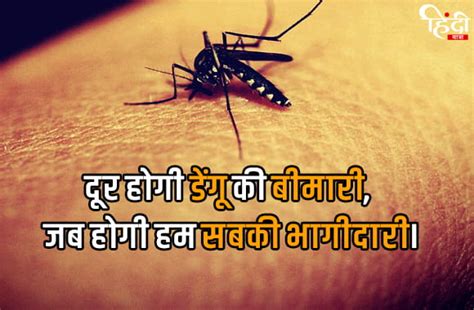 30+ डेंगू पर नारे - Dengue Slogan in Hindi