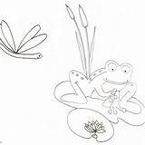 Cattails By Pond Pages Coloring sketch template
