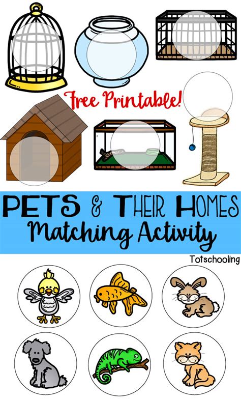 Pets & Their Homes Matching Activity | Totschooling - Toddler ...