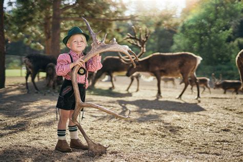 Leavenworth Reindeer Farm - Home