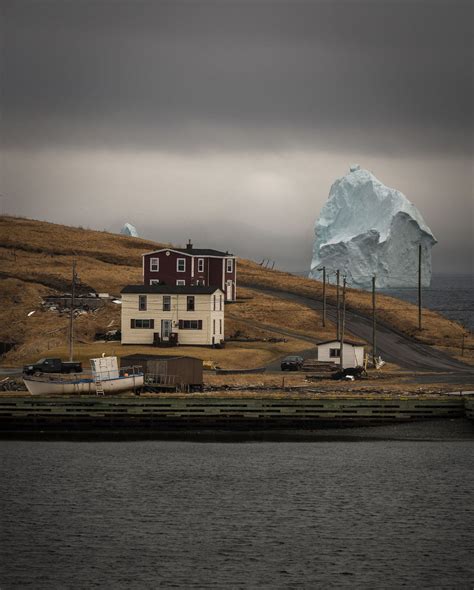 Ferryland Famous Iceberg Day 2 | Ray Mackey | MARKET