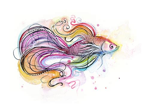 Betta Fish Watercolor Painting by Olga Shvartsur