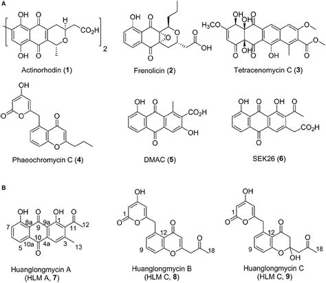 Frontiers | Huanglongmycin A-C, Cytotoxic Polyketides Biosynthesized by a Putative Type II ...