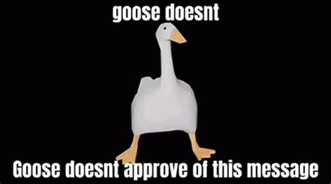 Goose GIF - Goose - Discover & Share GIFs