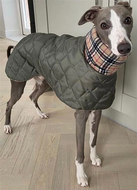 Whippet waterproof winter quilted coats with a long fleece | Etsy