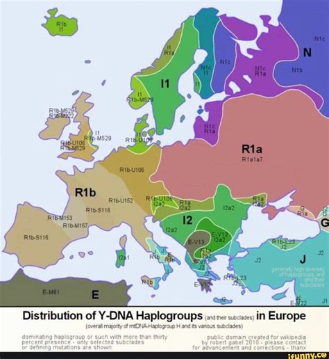 Haplogroup Chart