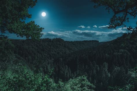 Four ways to recreate moonlight in your photos and video