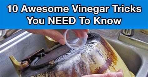 10 Vinegar Uses You Absolutely Need To Know