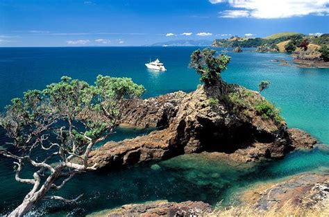 Image result for waiheke island beaches New Zealand North, New Zealand Travel, Tasmania ...