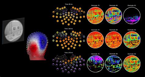 New Brain Mapping Technique Reveals Neural Code of Vision Processing ...