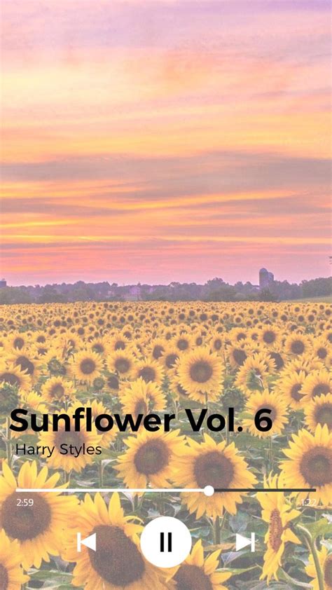 the sunflower vol 6 is shown in front of a field of sunflowers