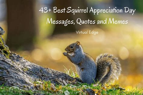 43+ Best Squirrel Appreciation Day Messages, Quotes and Memes | Virtual ...