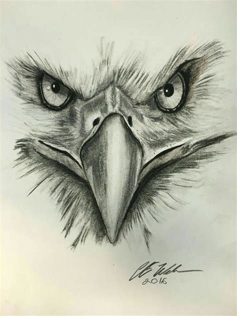 Pin by Erwin Pop on eagles | Eagle drawing, Eagle art, Sketches