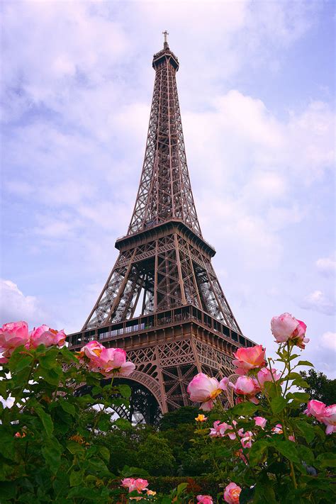 Paris, France - Eiffel Tower - Frederico Domondon