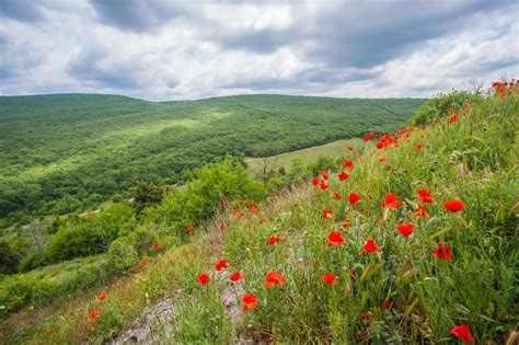 Premium Photo | Beautiful summer mountain landscape