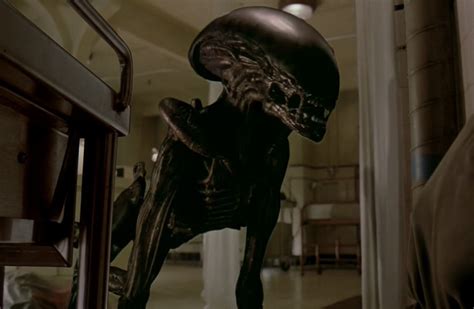 Xenomorph Types: List Of All Alien Castes And Variants | AvP Central