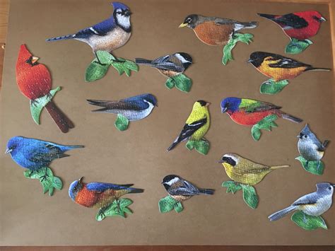 Songbirds - 15 Birds shaped puzzles (same series as cupcakes) - Cra-Z-Art Puzzle. Very fun group ...