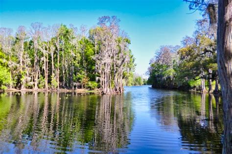 Shingle Creek Regional Park : Marsh Landing Opening Adds More Water ...