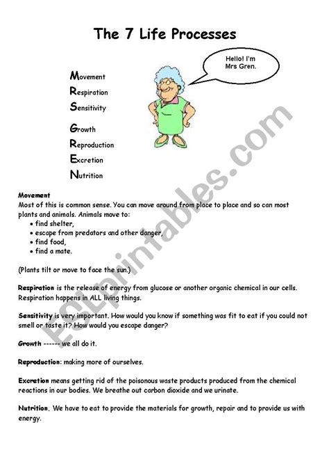 Life Processes Worksheet - ESL worksheet by damienbarron