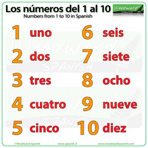 Numbers from 1 to 10 in Spanish | Woodward Spanish