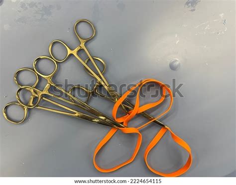 Vascular Loop Clamps Vascular Surgery Stock Photo 2224654115 | Shutterstock