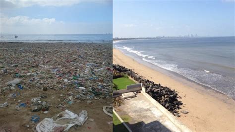 In Pics: Mumbai’s Versova Beach Sparkles After Mass Cleanup Drive - The ...