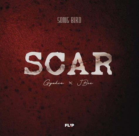 Official 'Scar' Lyrics by Gyakie & JBEE | Notjustok