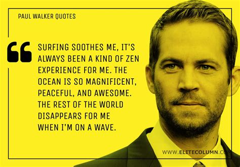 12 Paul Walker Quotes That Will Inspire You (2023) | EliteColumn