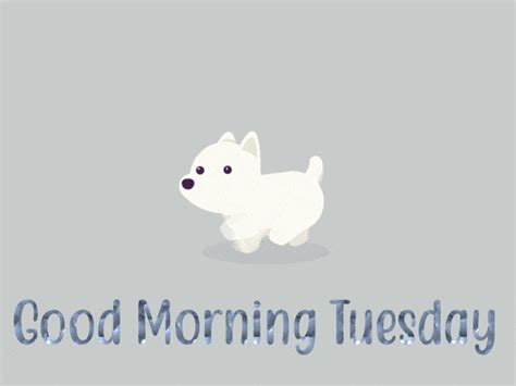 Good Morning Happy Tuesday Cute Puppy Jumping GIF | GIFDB.com