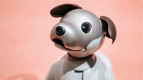 Whatever Happened To Sony's Aibo Robot Dog?